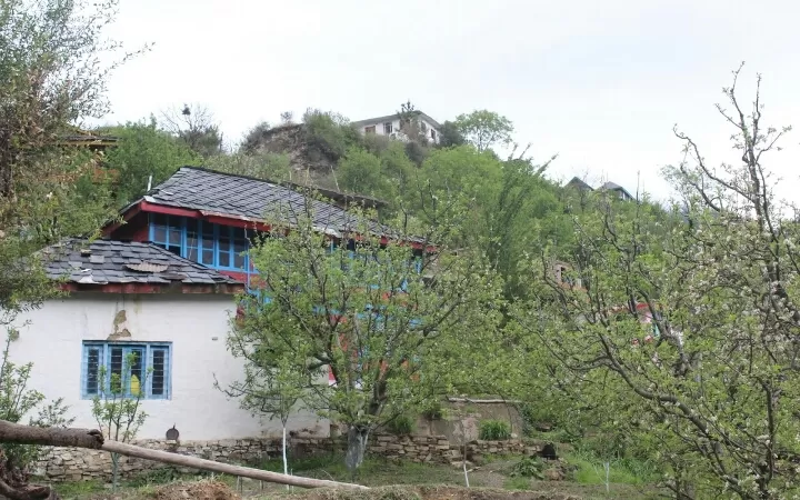 Photo of My trip to KASOL and JARI By Pragya Pathak