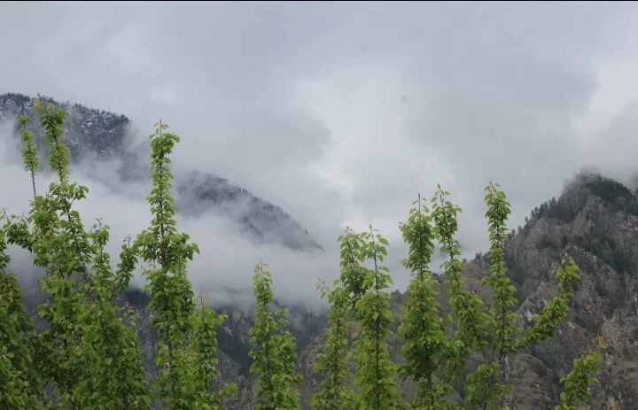 Photo of My trip to KASOL and JARI By Pragya Pathak
