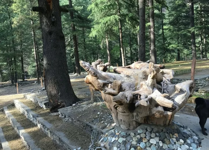 Photo of My trip to KASOL and JARI By Pragya Pathak