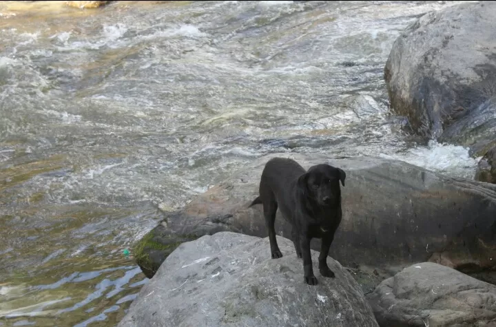 Photo of My trip to KASOL and JARI By Pragya Pathak