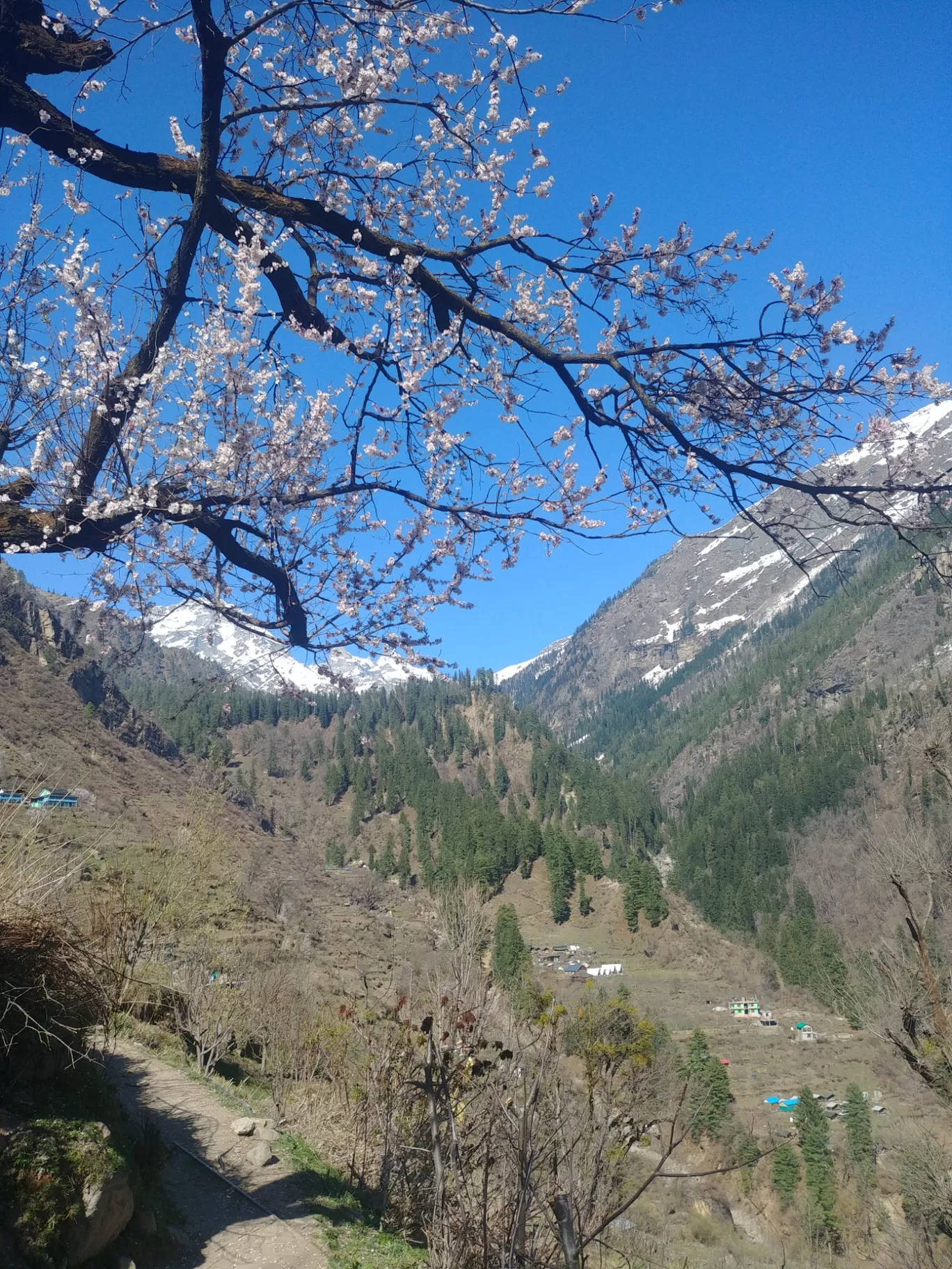 Photo of Himachal Pradesh By Vikas Shrivastav