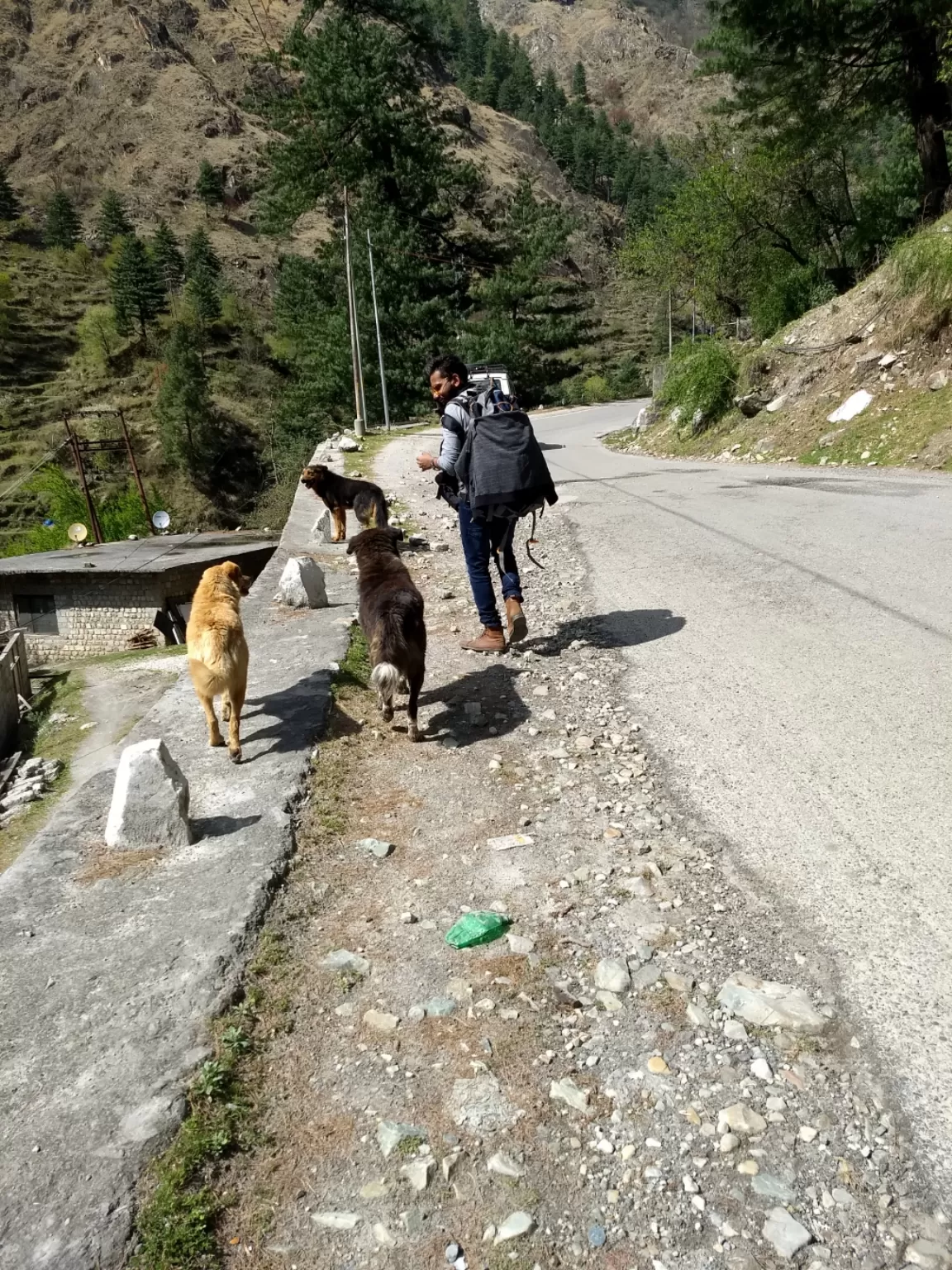 Photo of Himachal Pradesh By Vikas Shrivastav