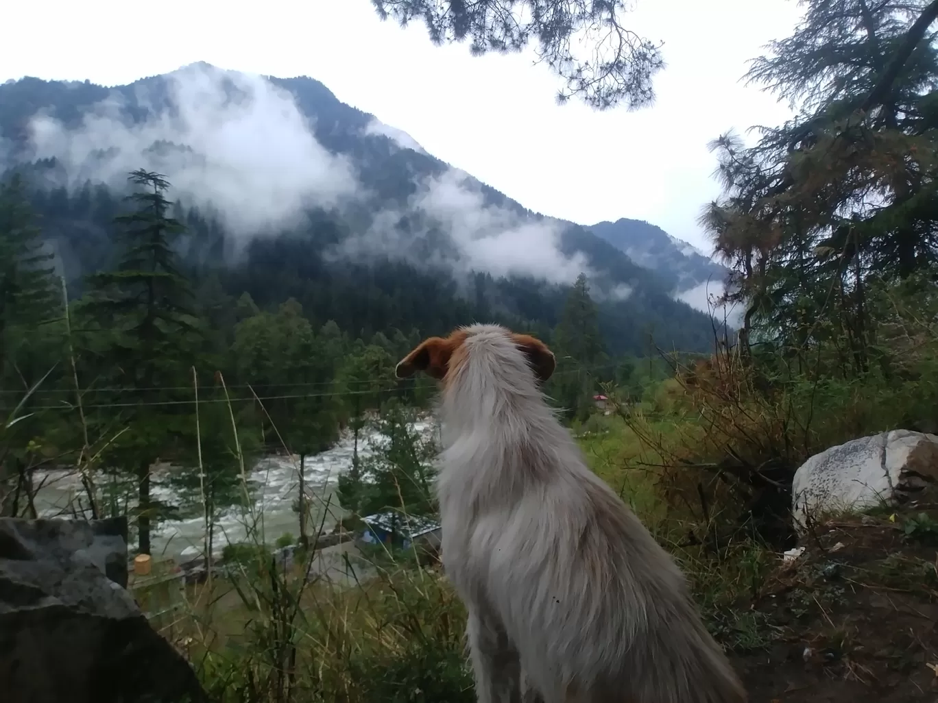 Photo of Himachal Pradesh By Vikas Shrivastav