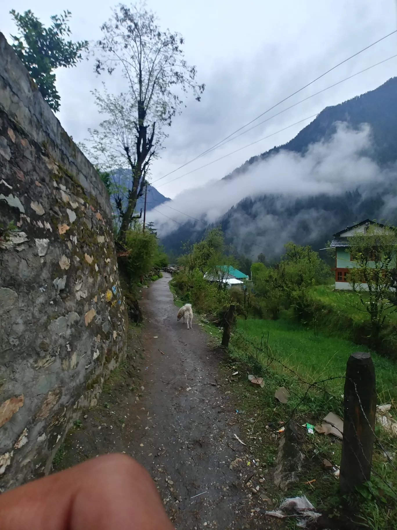 Photo of Himachal Pradesh By Vikas Shrivastav