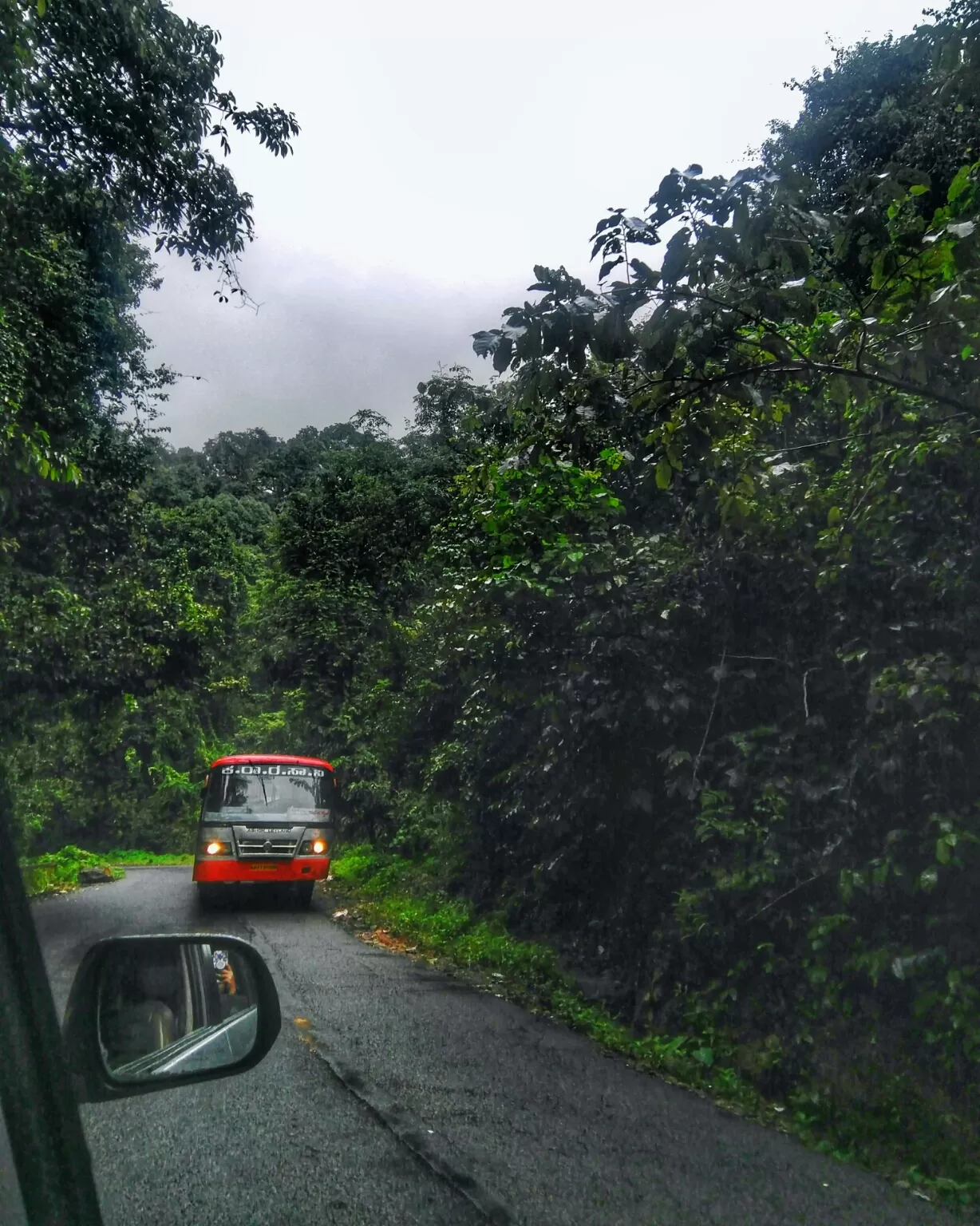 Photo of Kodachadri Hills Way By Pavee Balan