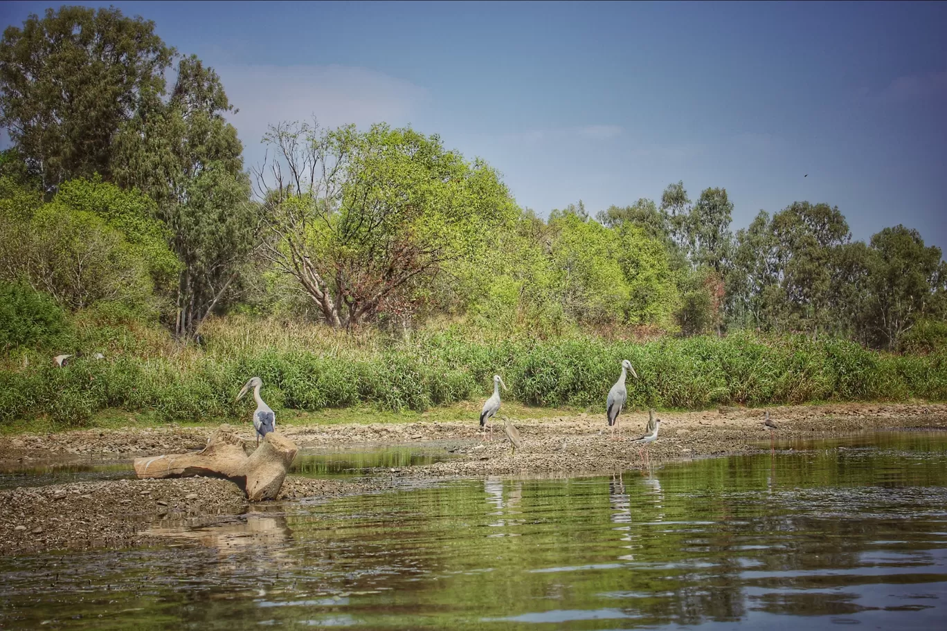 Photo of Talakadu By Rakesh Gowda