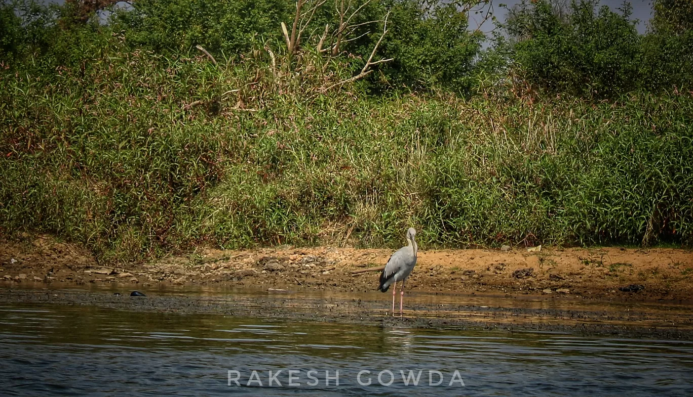 Photo of Talakadu By Rakesh Gowda