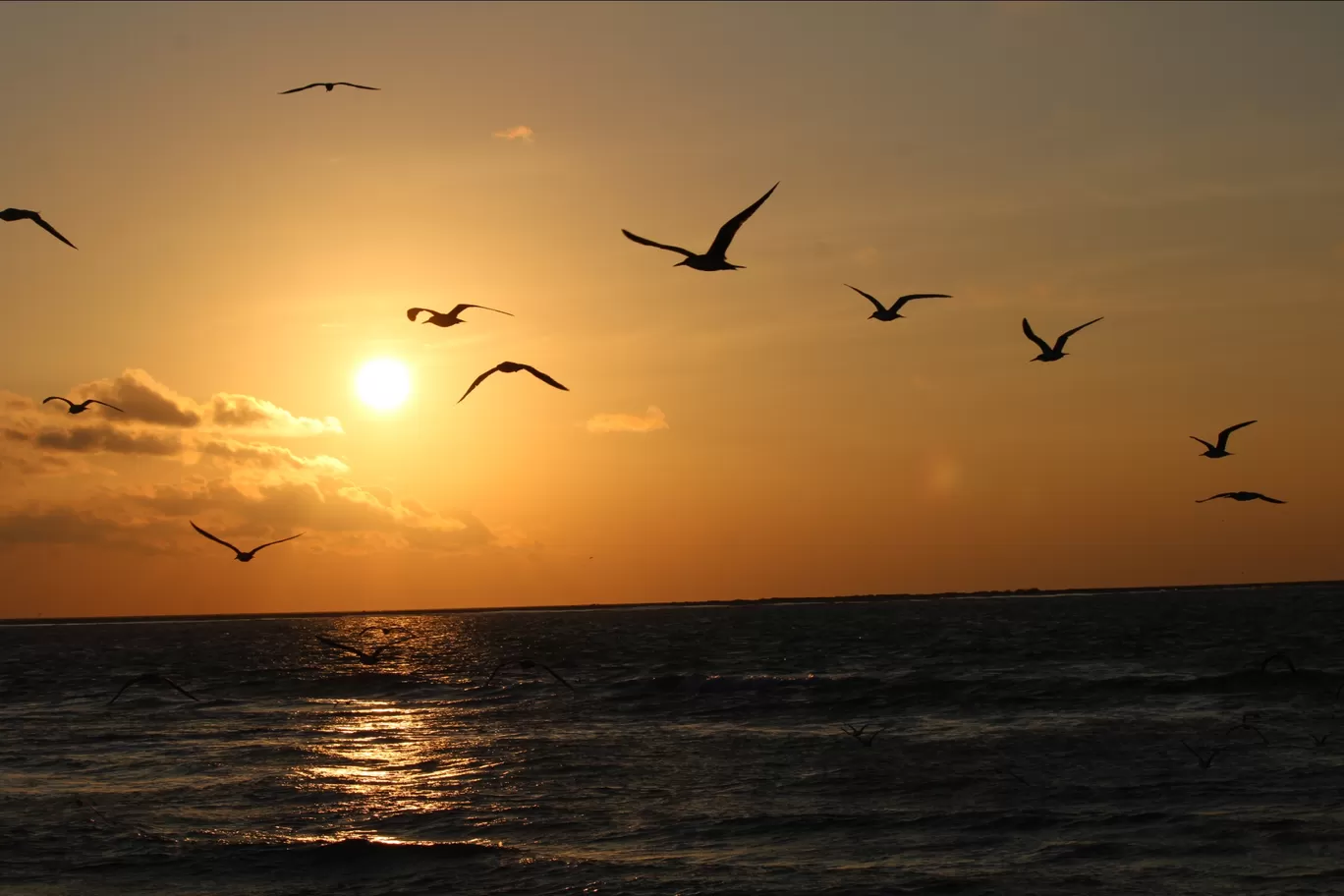 Photo of Dhanushkodi By Prabin Premrajan