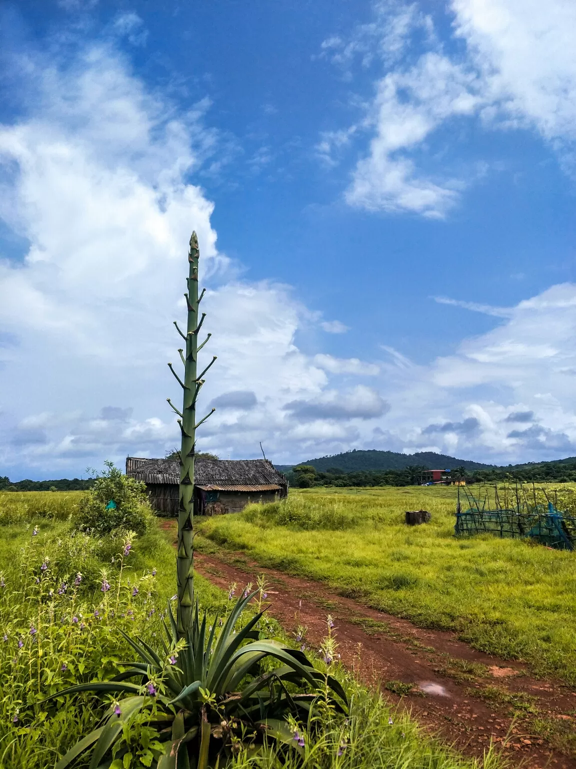 Photo of Cabo de Rama By Neha Khan