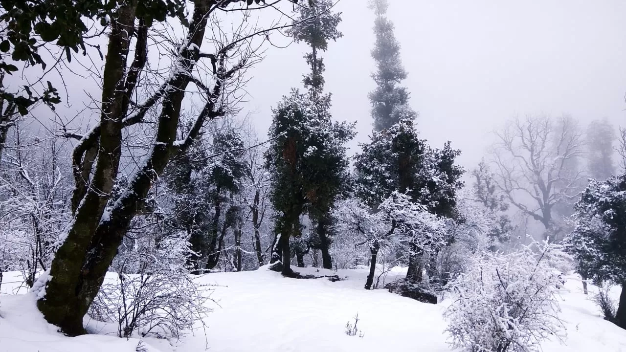 Photo of Dayara Bugyal By Bhavya Kumar