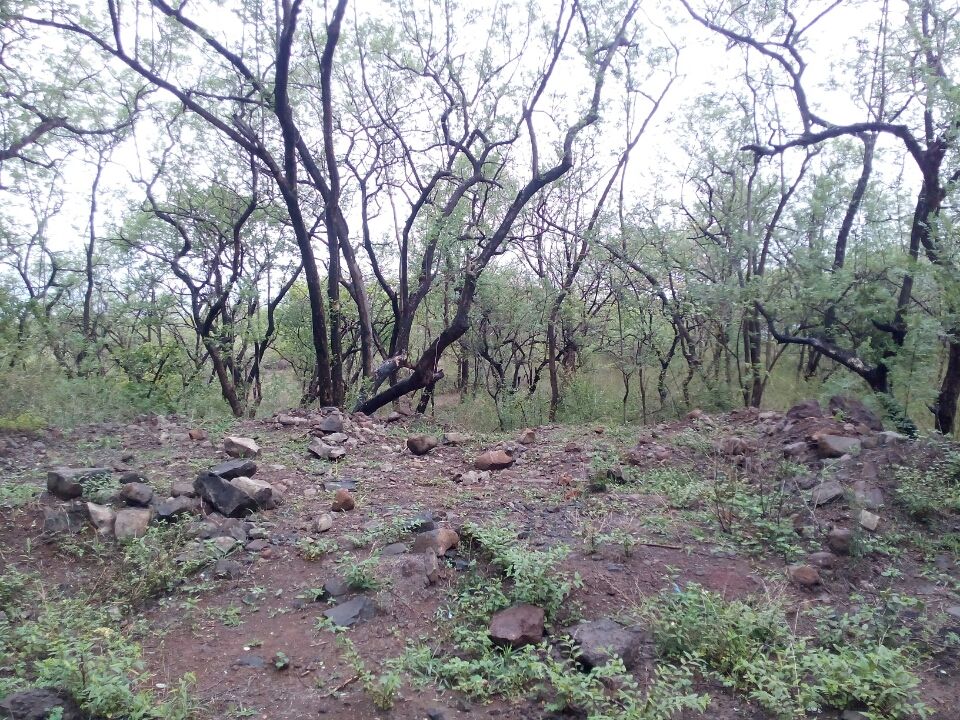 Photo of Sinhagad Fort: weekend getaway! By Milind Gupta
