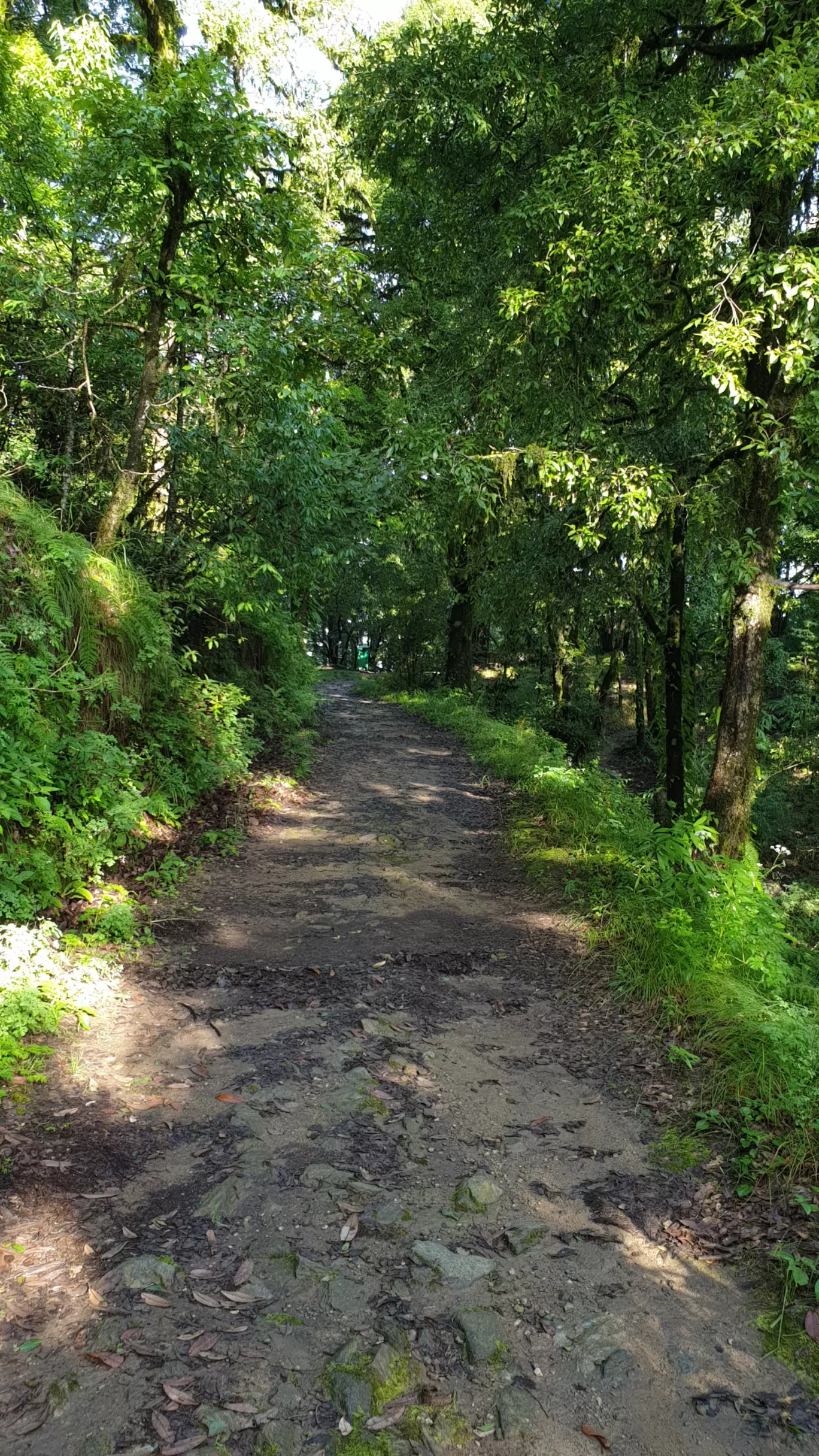 Photo of Binsar Wildlife Sanctuary By Shivani Marshal