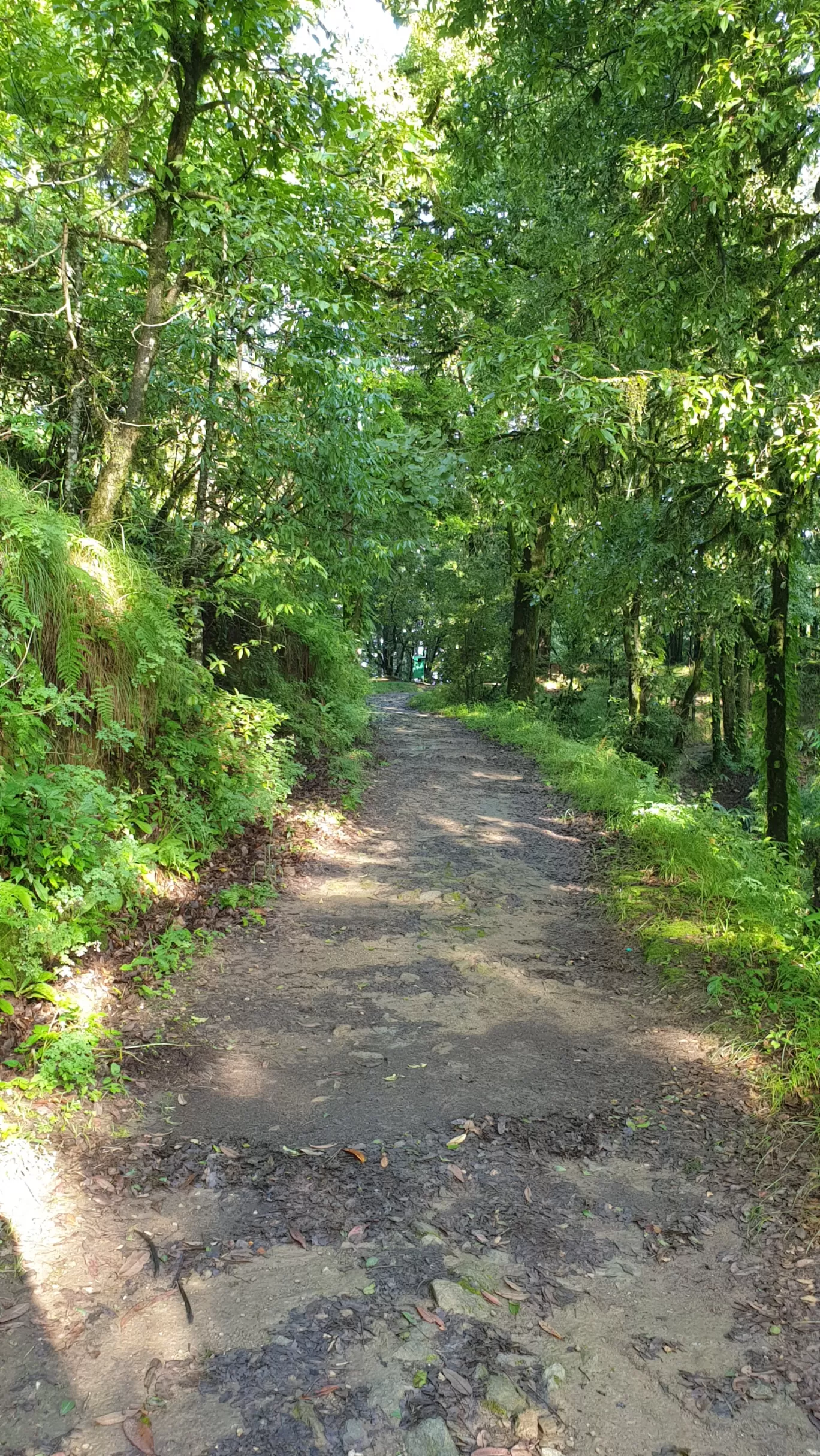 Photo of Binsar Wildlife Sanctuary By Shivani Marshal