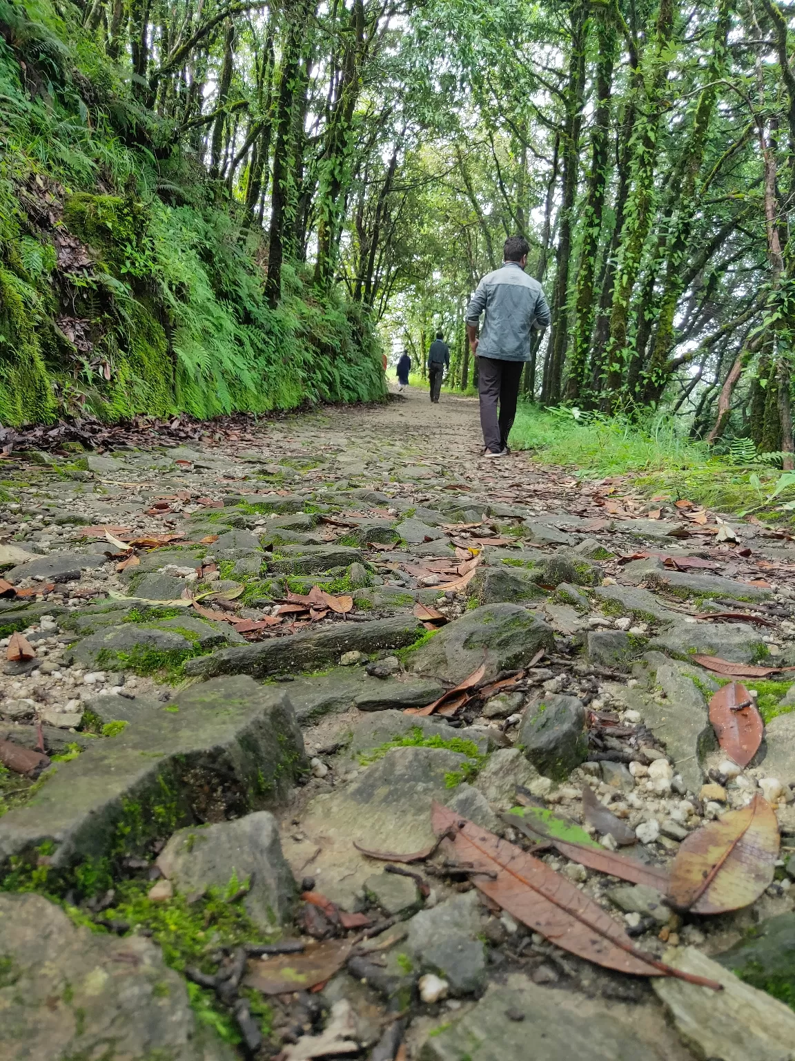 Photo of Binsar Wildlife Sanctuary By Shivani Marshal