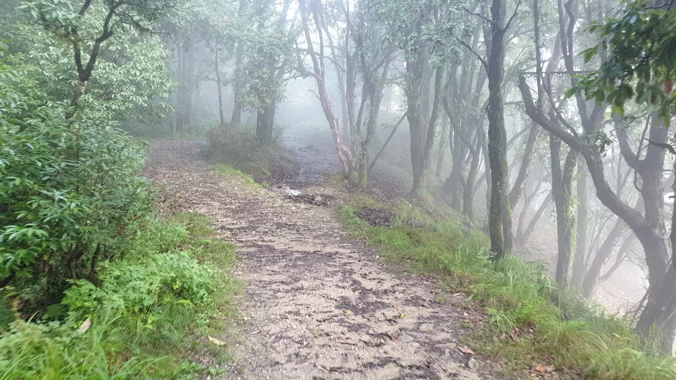 Photo of Binsar Wildlife Sanctuary By Shivani Marshal