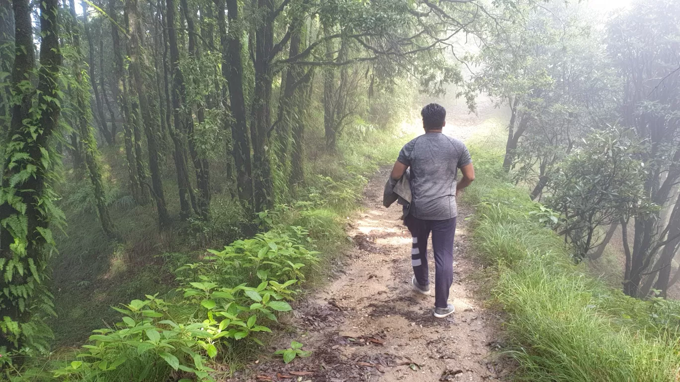 Photo of Binsar Wildlife Sanctuary By Shivani Marshal