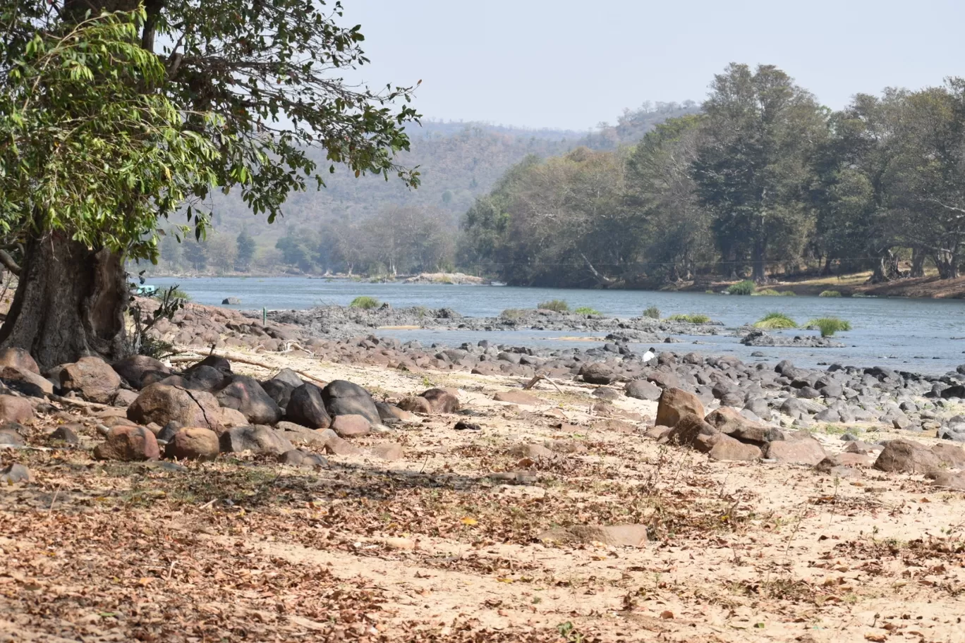 Photo of Hogenakkal By Srikanta Padhy