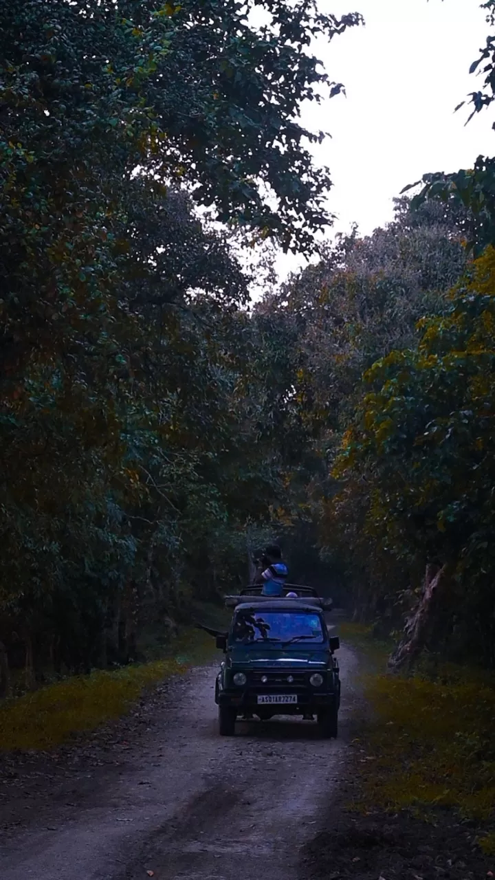 Photo of Kaziranga National Park By Deboleena Sen