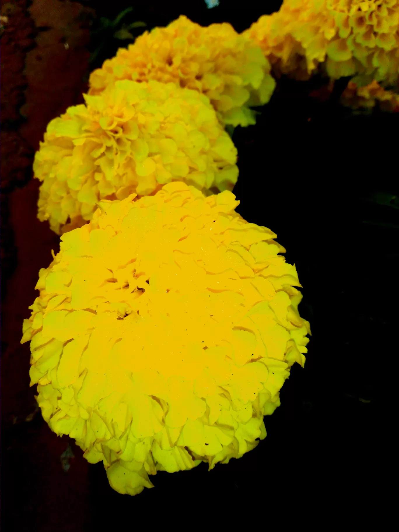 Photo of Puri By HOTEL SHREEHARI, PURI