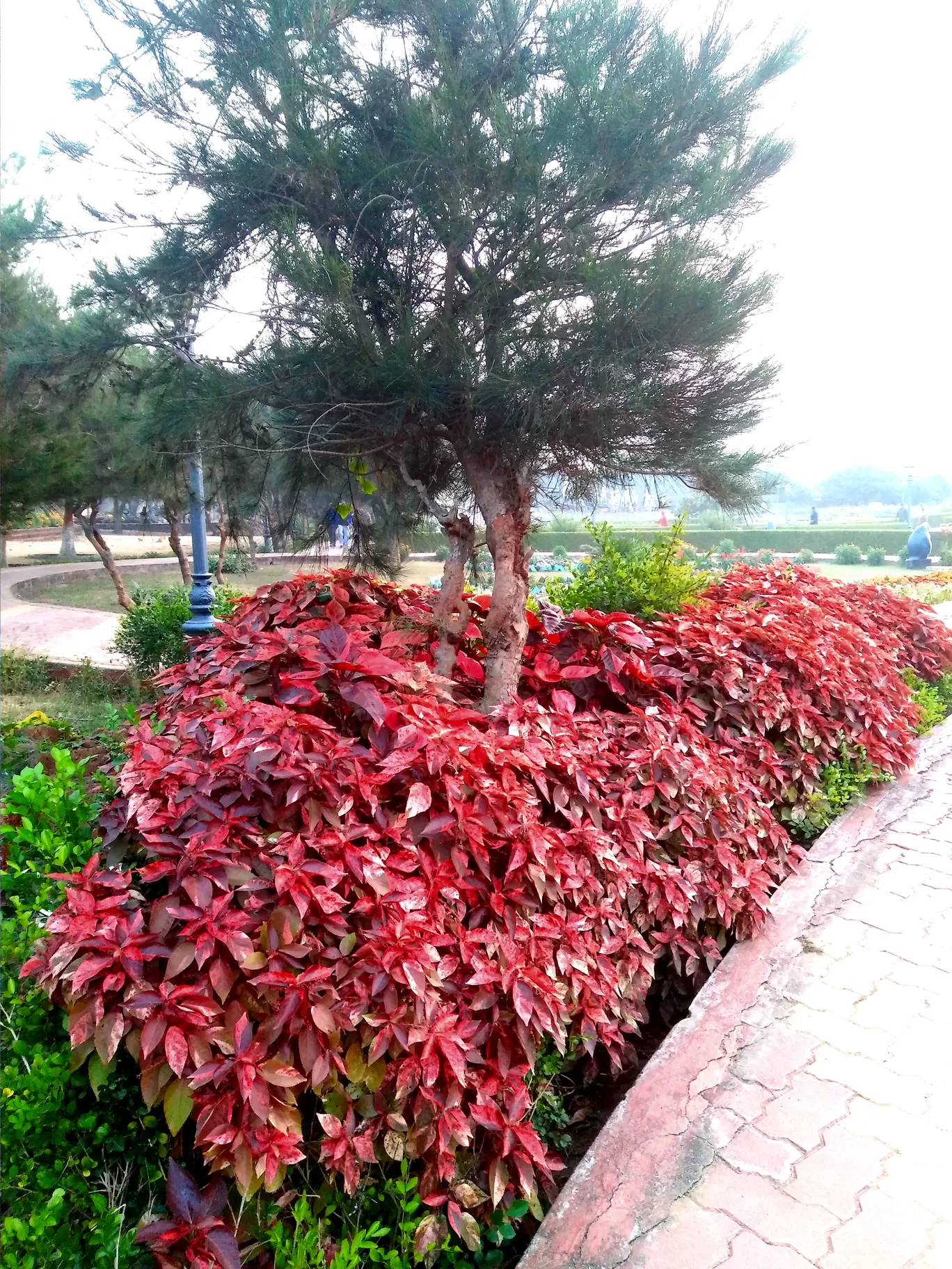 Photo of Puri By HOTEL SHREEHARI, PURI