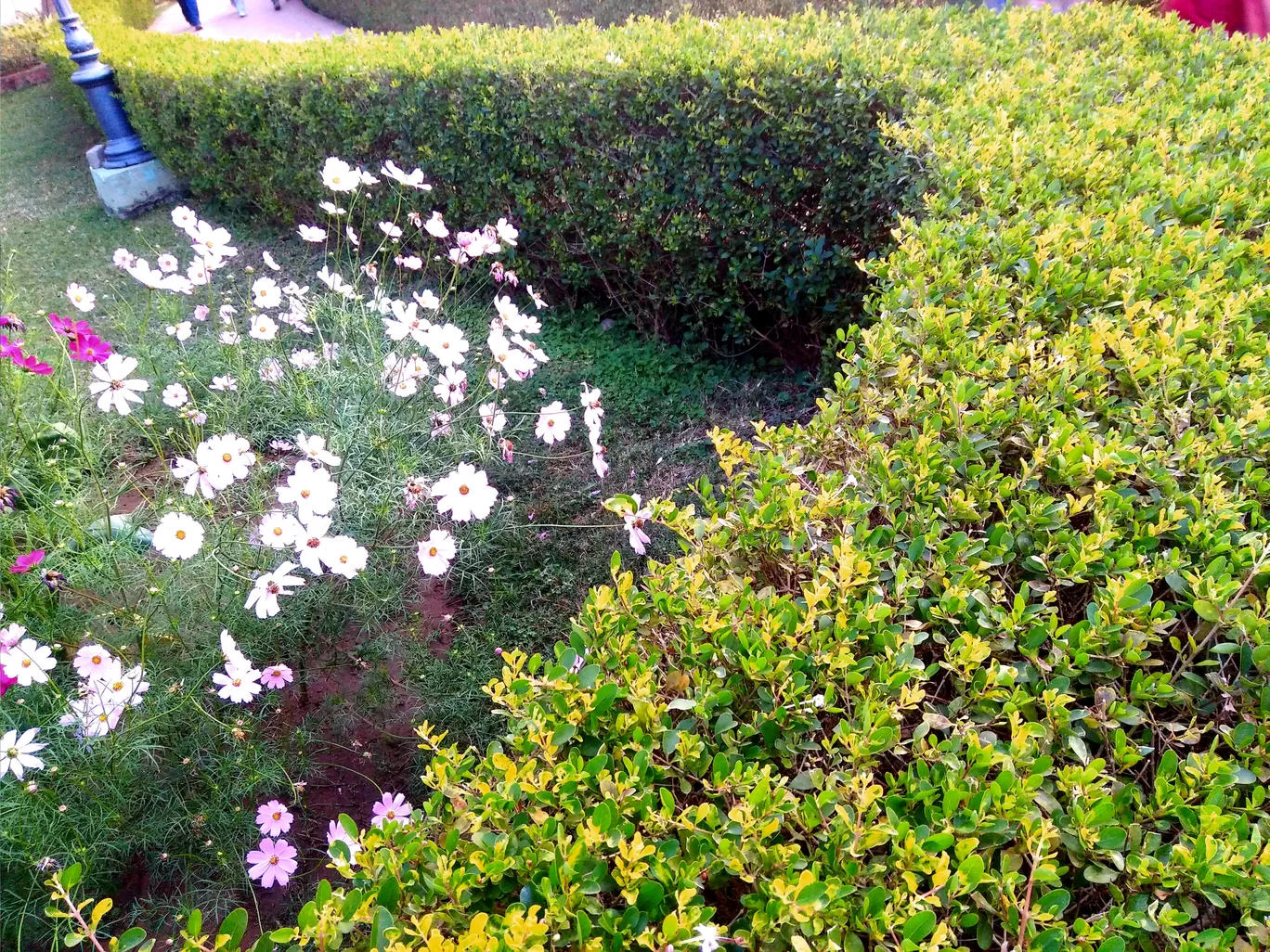 Photo of Puri By HOTEL SHREEHARI, PURI