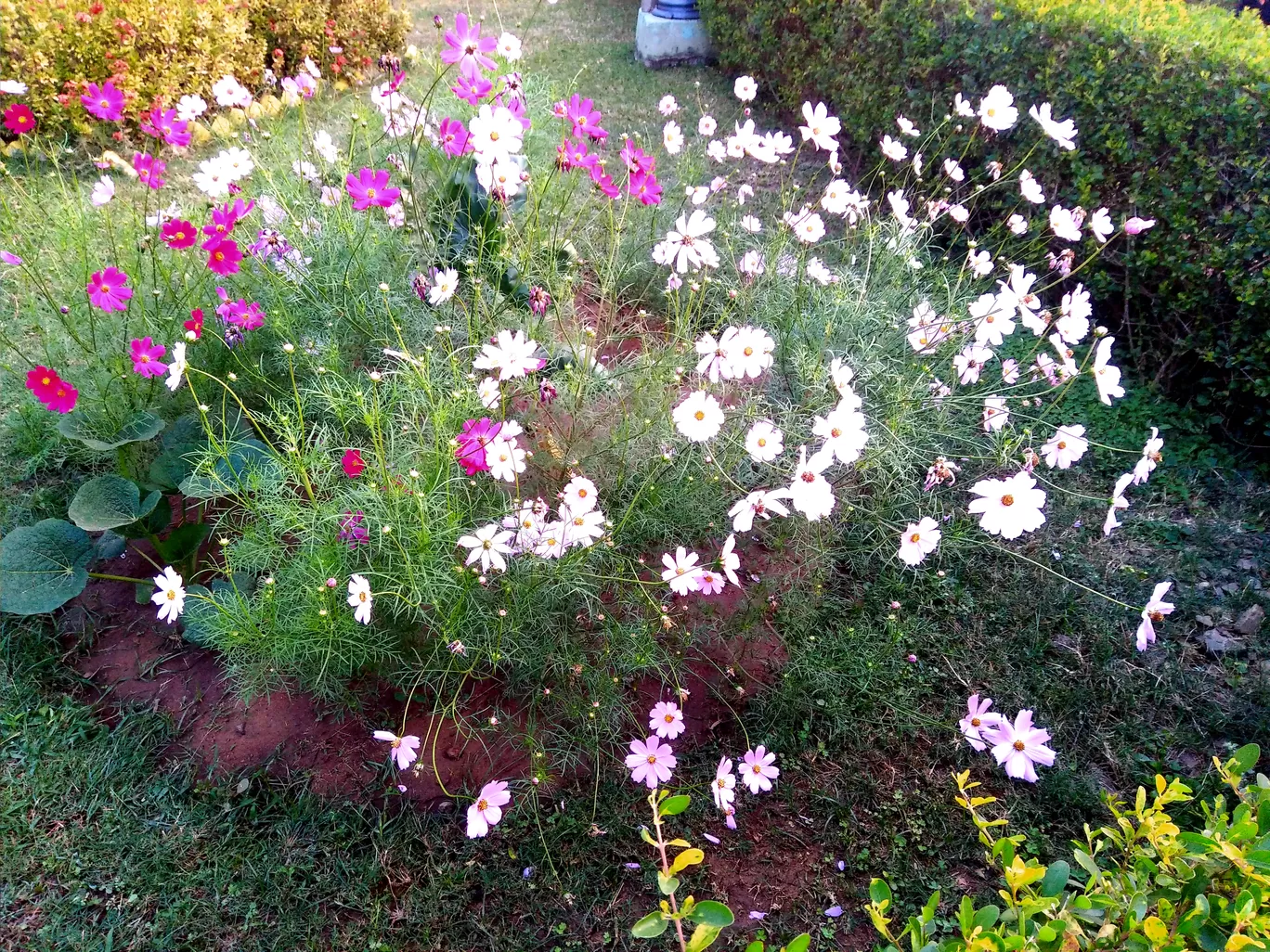 Photo of Puri By HOTEL SHREEHARI, PURI