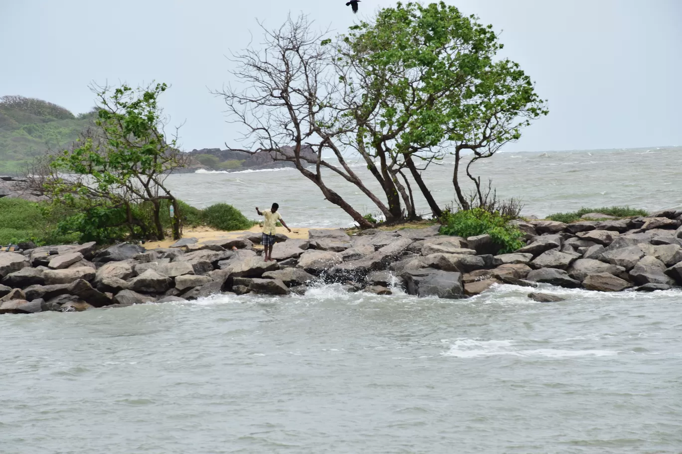 Photo of South India By Sinjana Ghosh