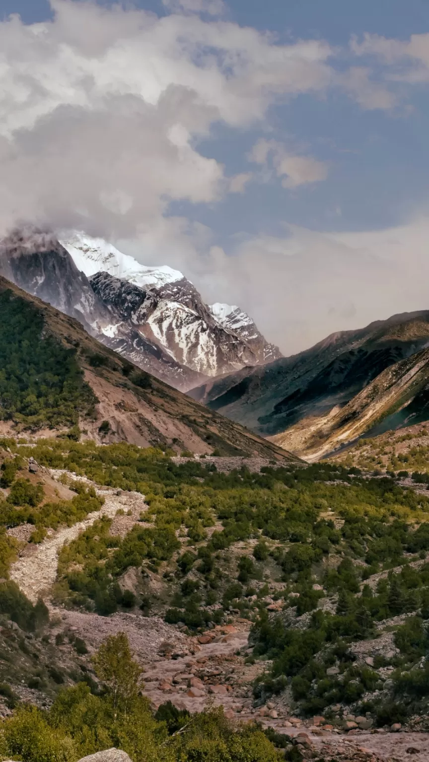 Photo of Gangotri - Gaumukh Pedestrian Way By Nayan Khandelwal