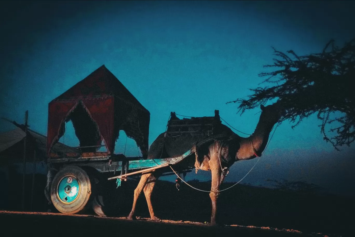 Photo of Pushkar By Nayan Khandelwal