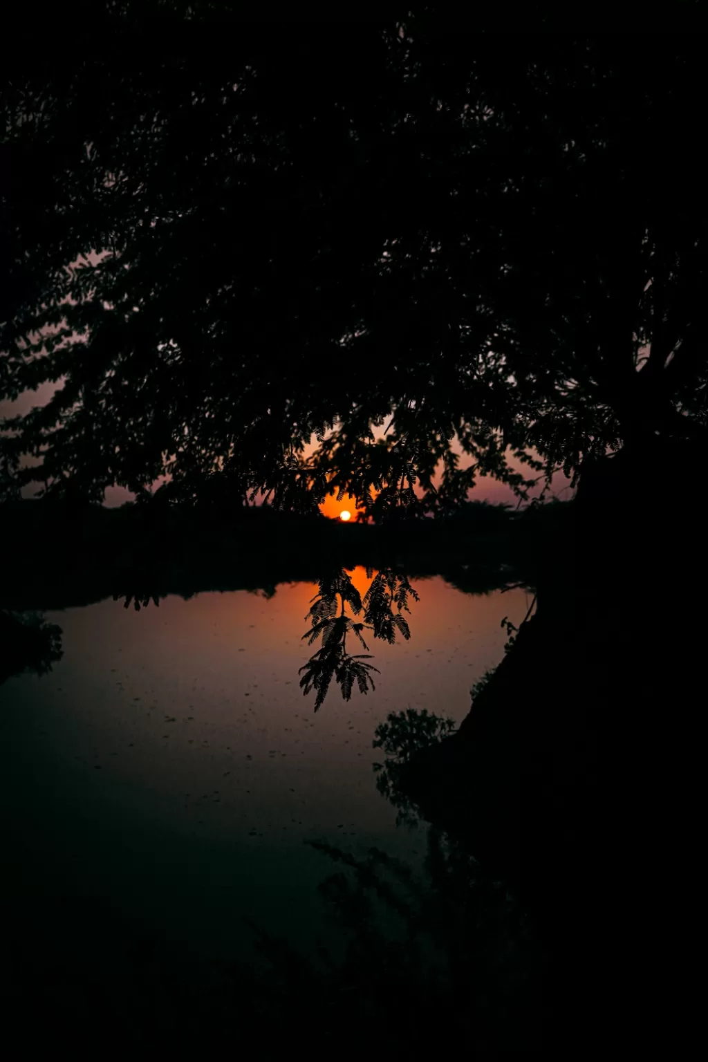 Photo of Pushkar By Nayan Khandelwal