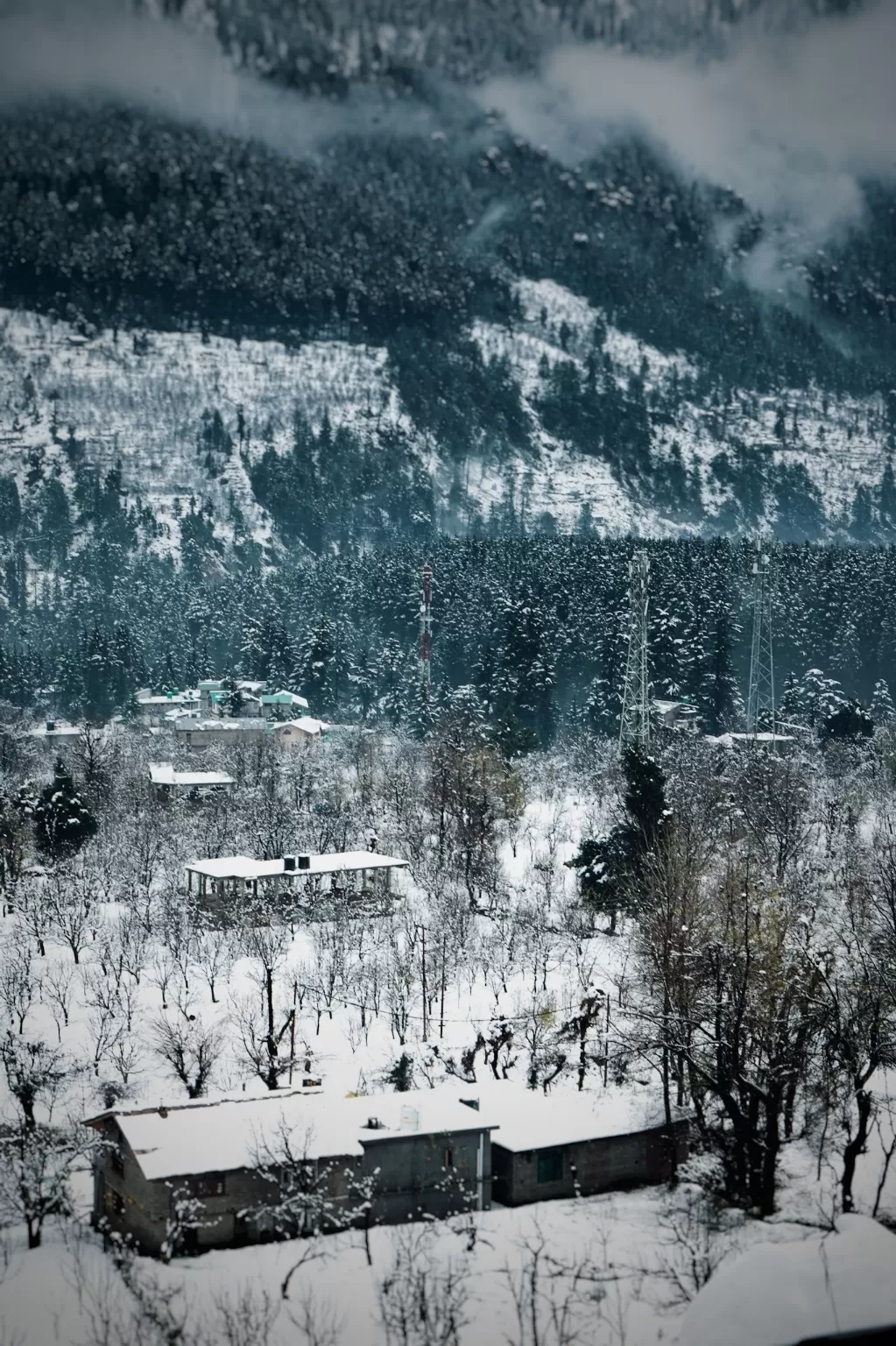 Photo of Manali By Nayan Khandelwal