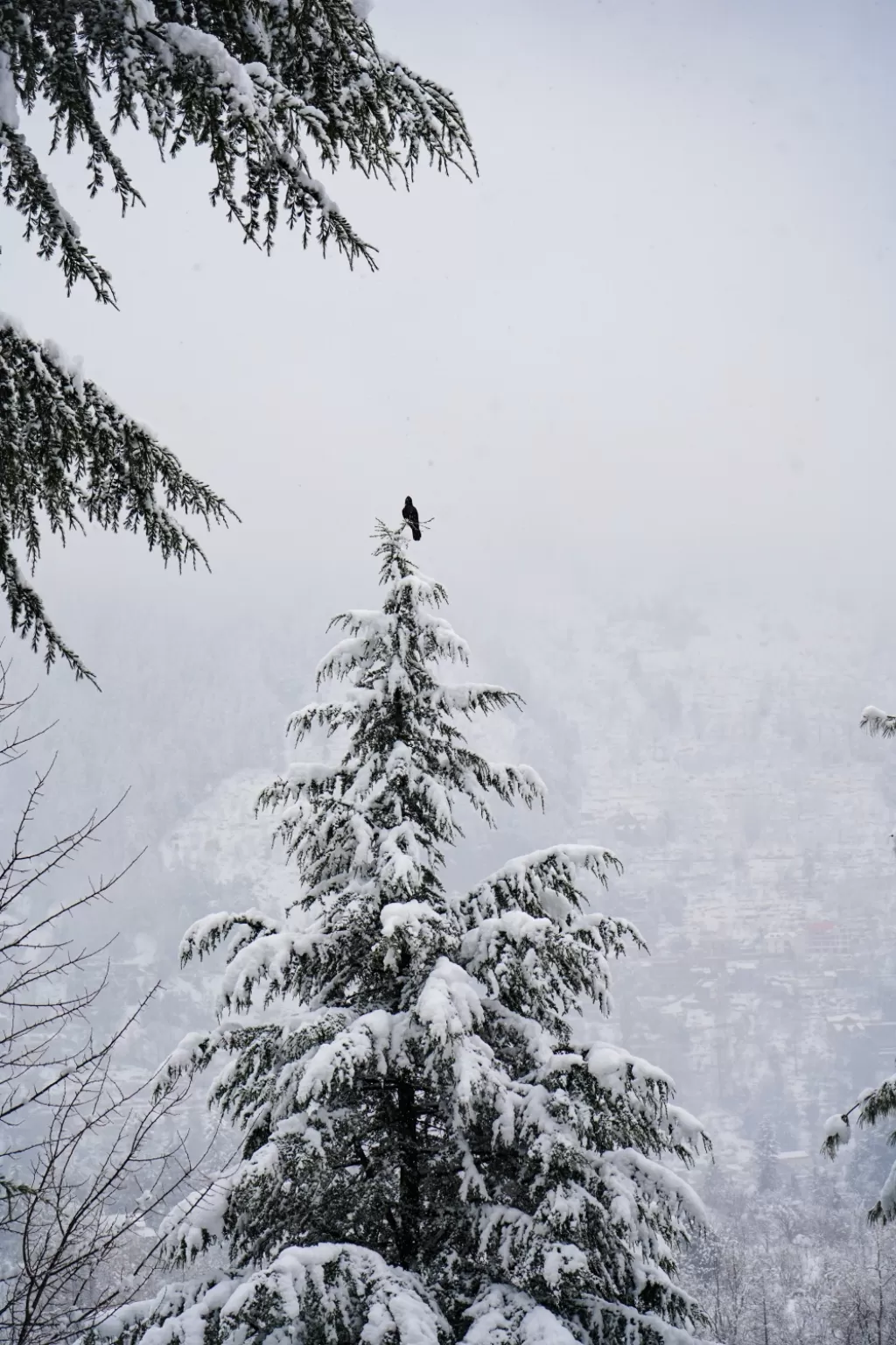 Photo of Manali By Nayan Khandelwal