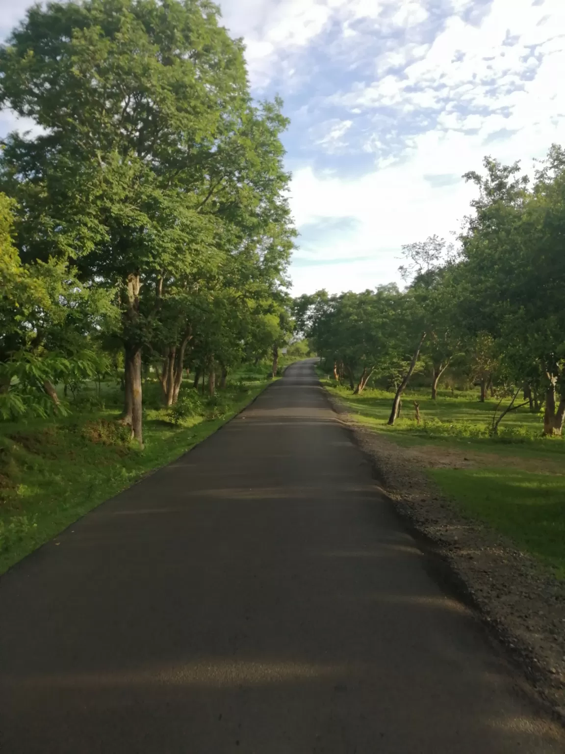Photo of Masinagudi By Kaavya Gowriboina