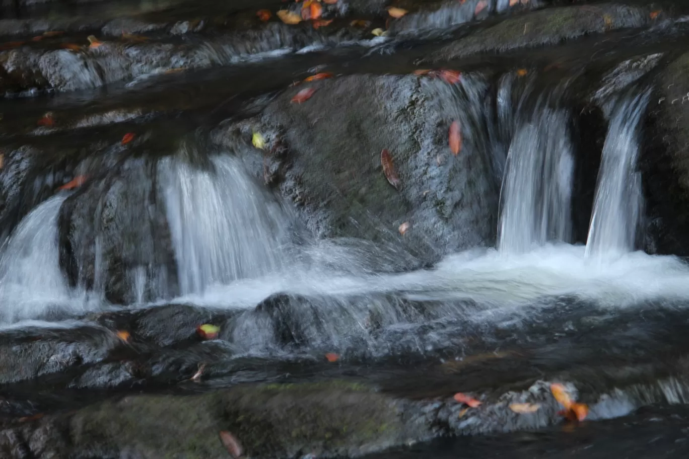 Photo of Elephant Falls By Badal Jain