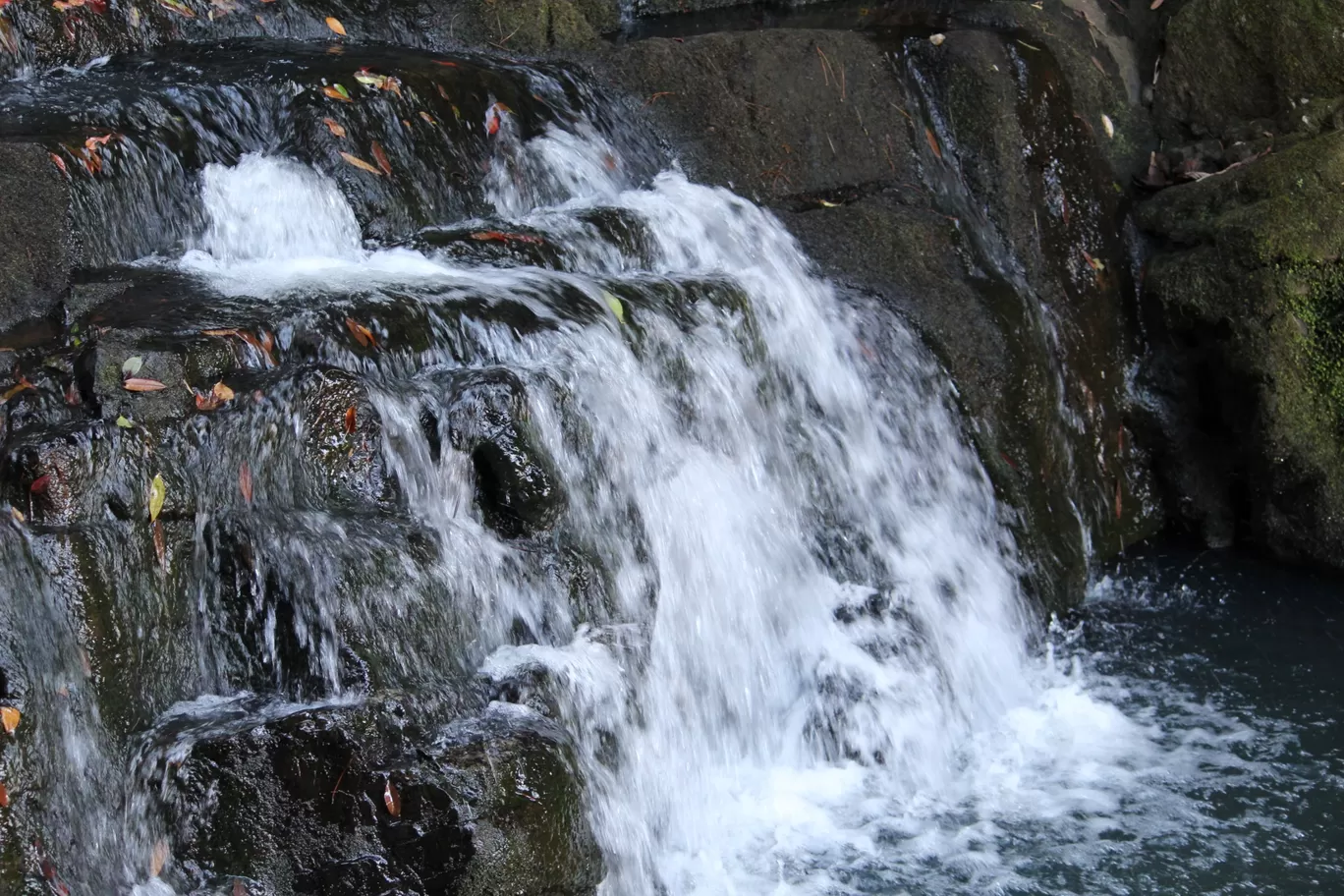 Photo of Elephant Falls By Badal Jain