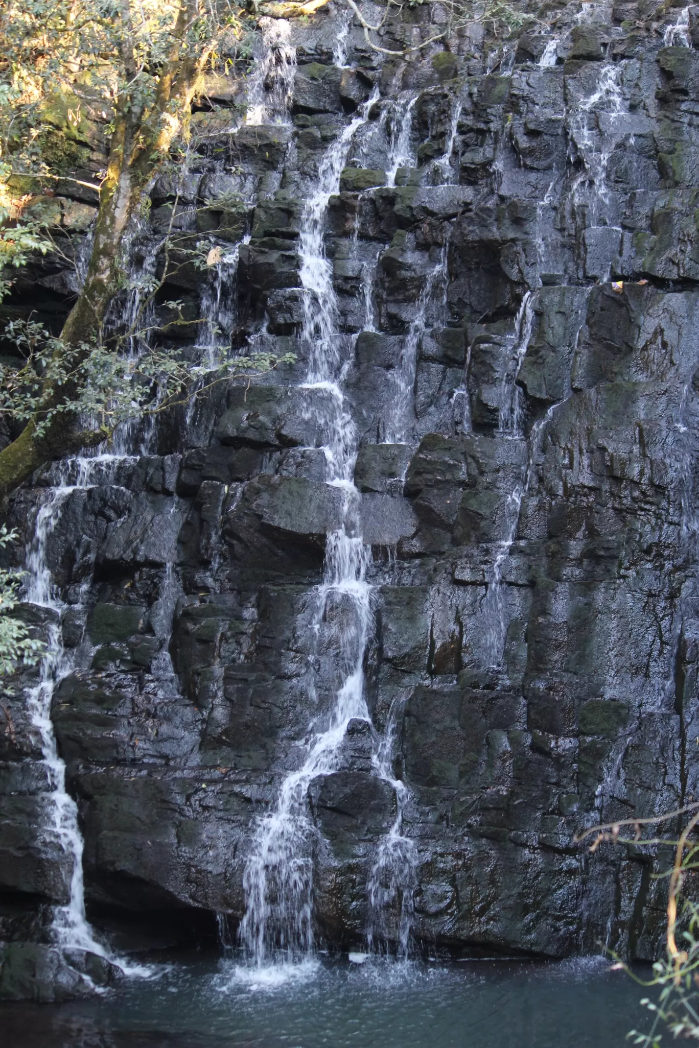 Photo of Elephant Falls By Badal Jain