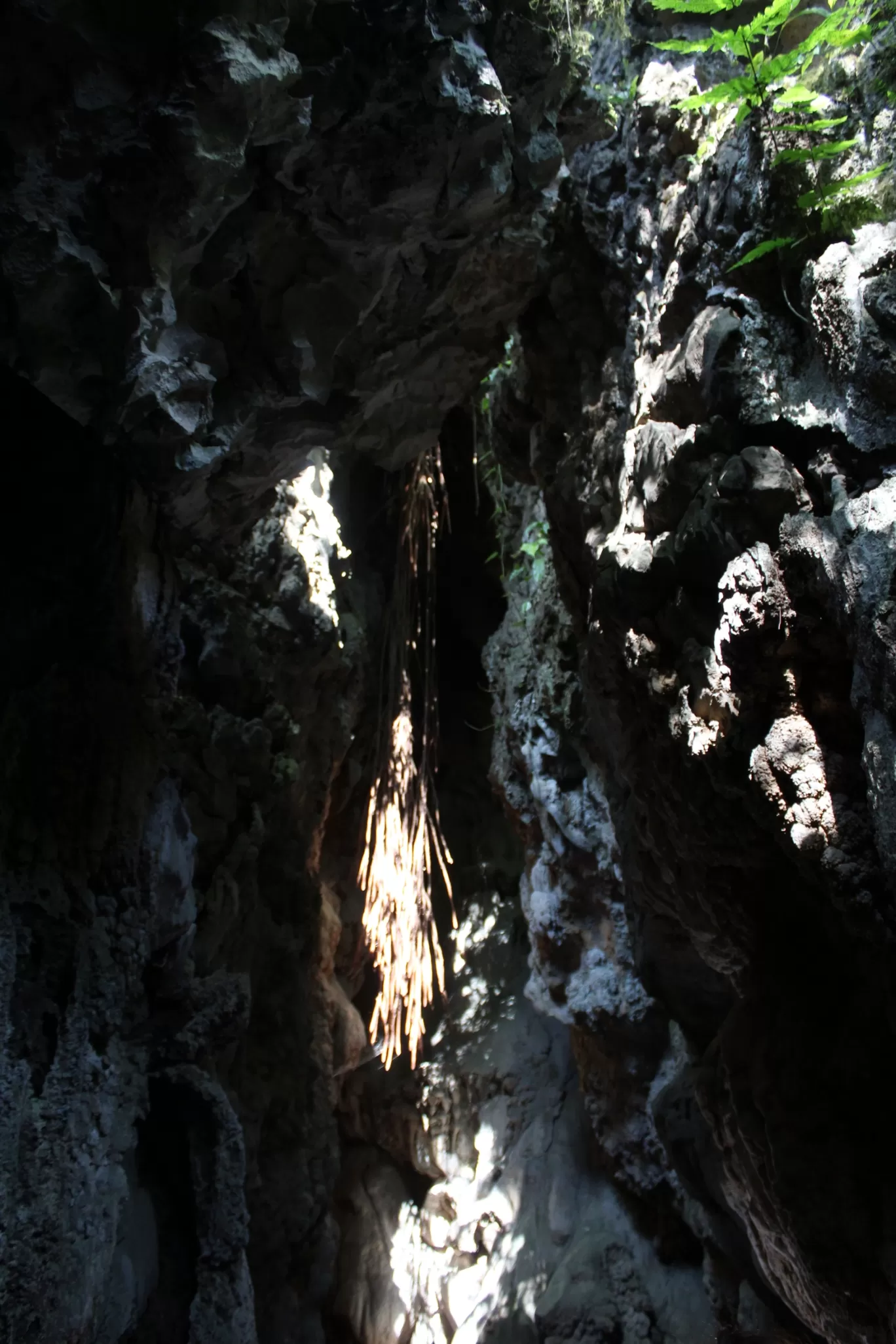 Photo of Mawsmai Cave By Badal Jain