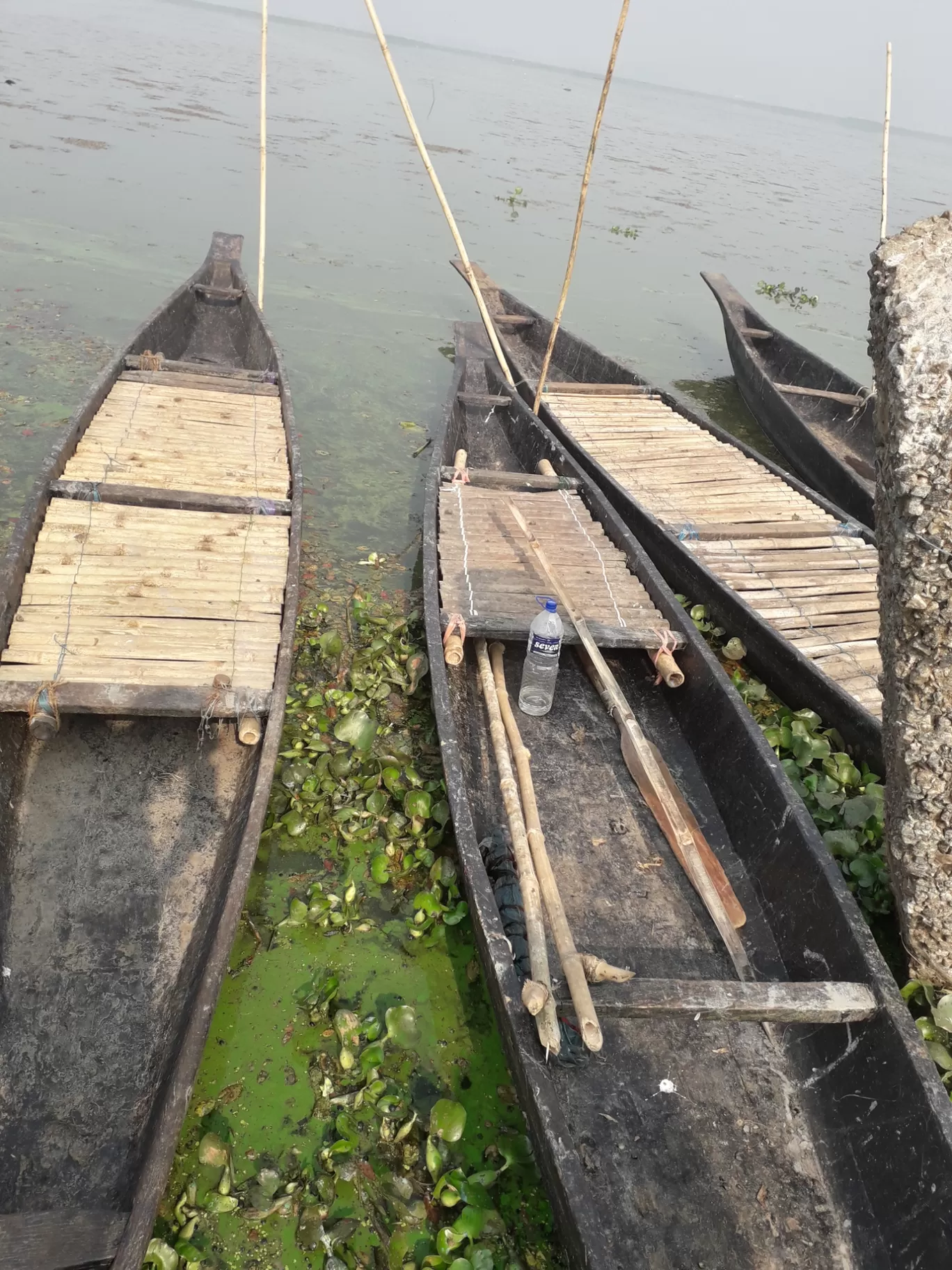 Photo of Deepor Beel Wildlife Sanctuary By Badal Jain
