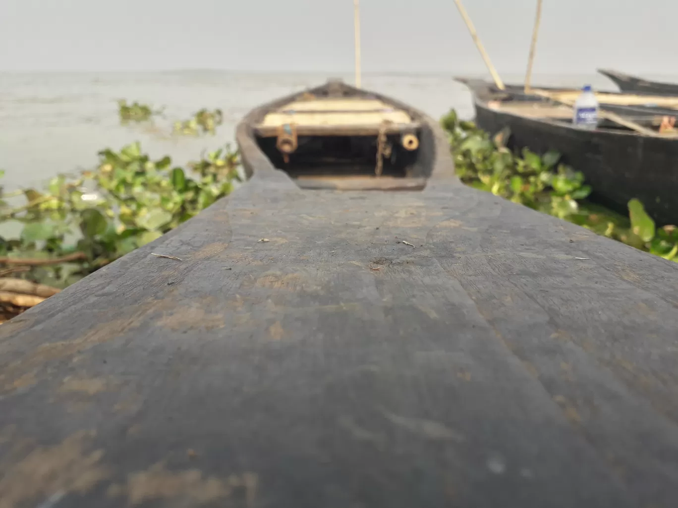 Photo of Deepor Beel Wildlife Sanctuary By Badal Jain