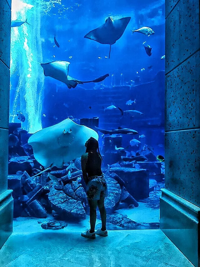 Photo of Dubai By Arpita Das