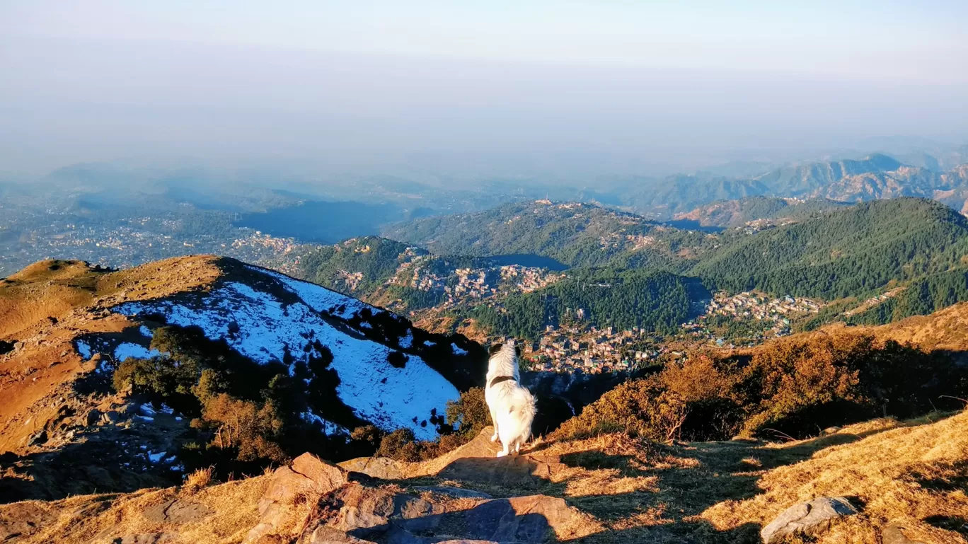 Photo of Triund Trek By Venturous Eagle 🦅 