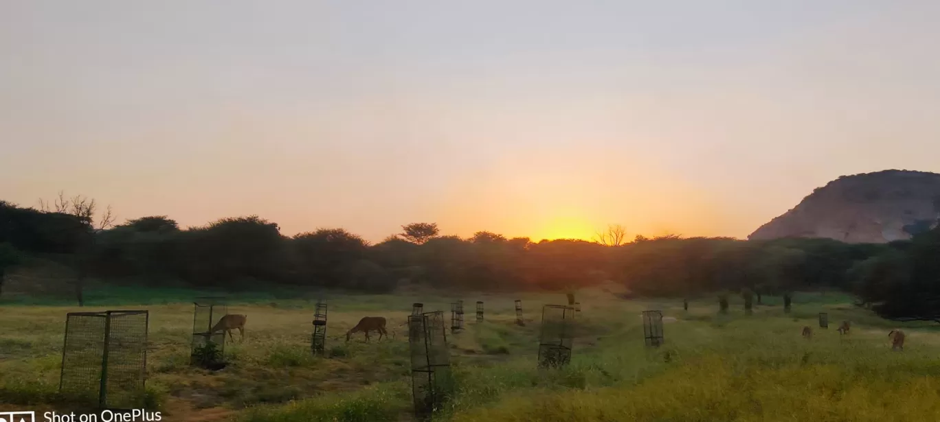 Photo of Jhalana Leopard Reserve By Venturous Eagle 🦅 