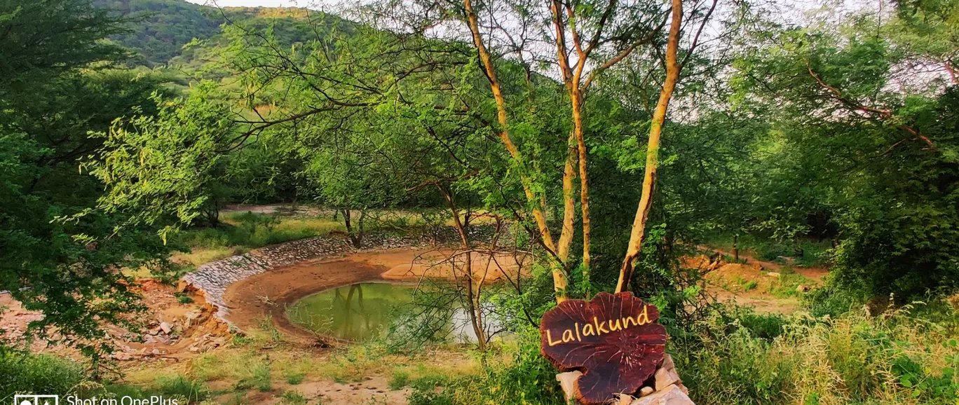 Photo of Jhalana Leopard Reserve By Venturous Eagle 🦅 