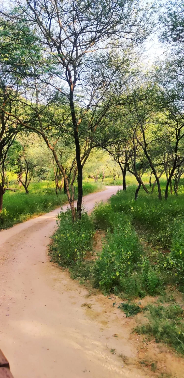 Photo of Jhalana Leopard Reserve By Venturous Eagle 🦅 