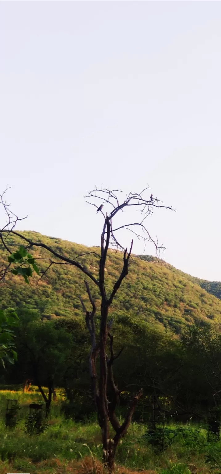 Photo of Jhalana Leopard Reserve By Venturous Eagle 🦅 