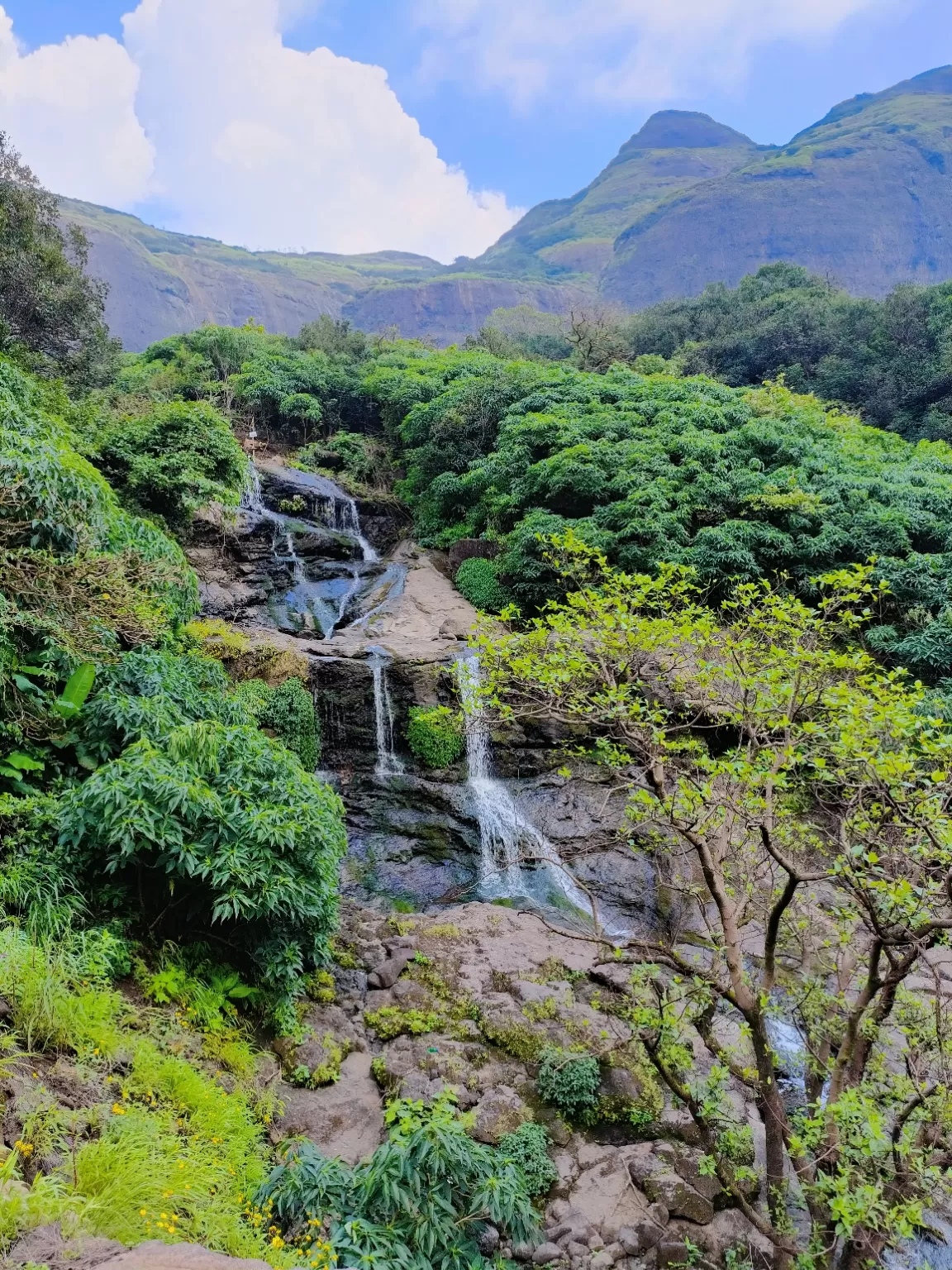 Photo of Aadrai Jungle Trail By Venturous Eagle 🦅 