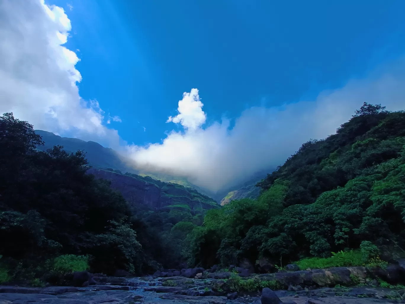 Photo of Aadrai Jungle Trail By Venturous Eagle 🦅 