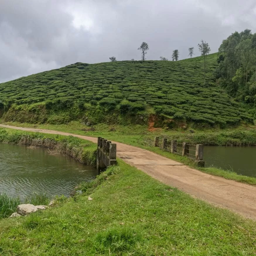 Photo of Vagamon By Ann