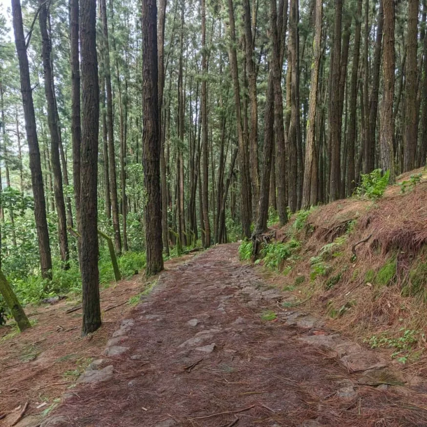 Photo of Vagamon By Ann