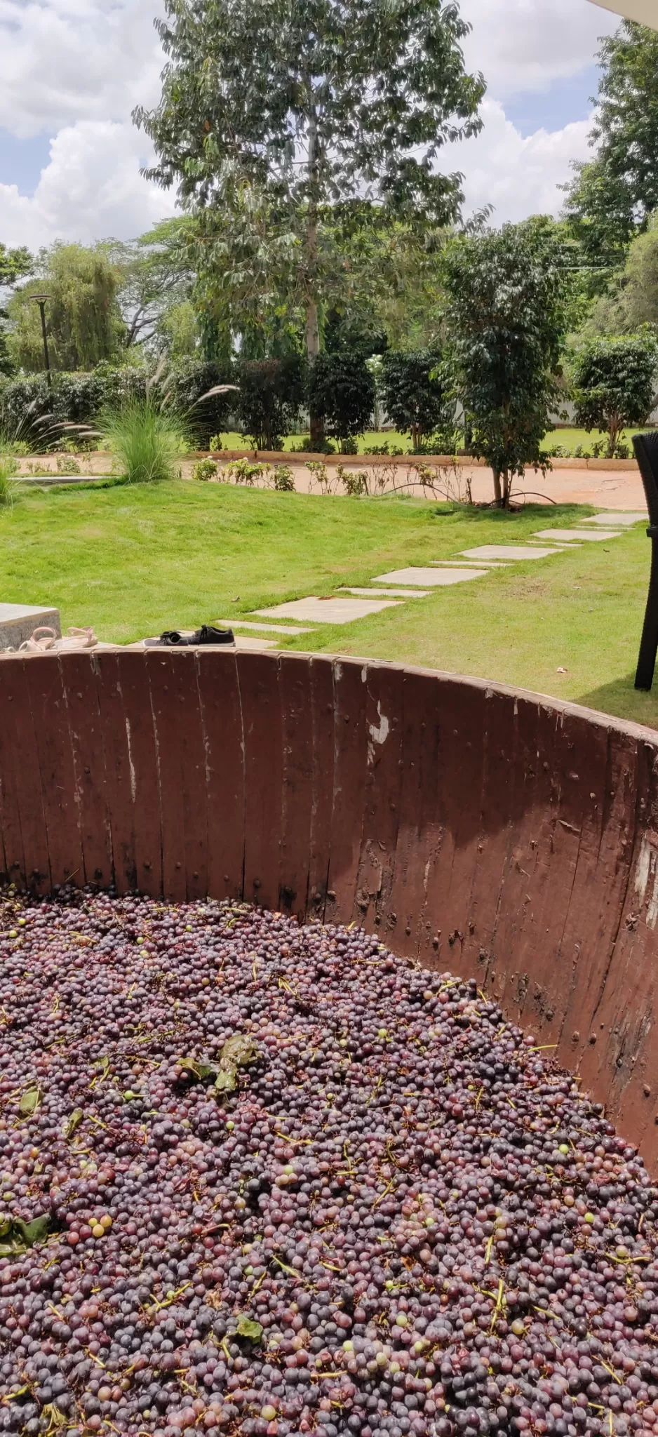 Photo of Grover Zampa Vineyards By Nupur